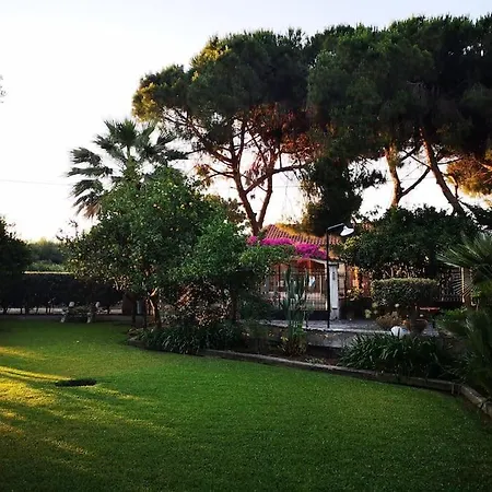 Lena Entire * Kalamaki (Achaea)