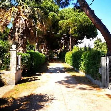 Lena Entire Kalamaki (Achaea)