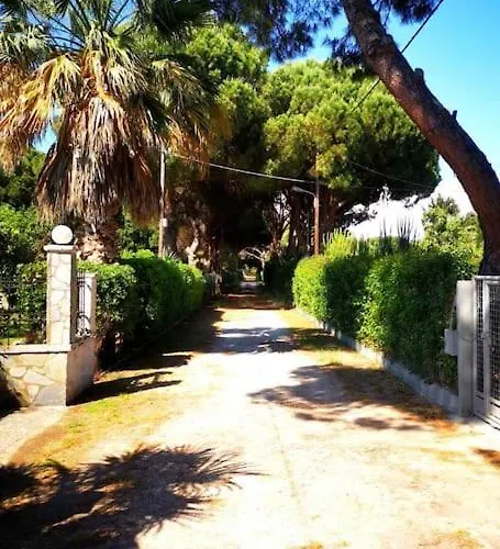 Lena Entire Kalamaki (Achaea)